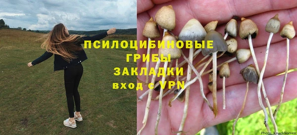 сатива Алексин