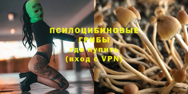 сатива Алексин