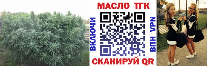 darknet Telegram  хочу наркоту  Дыгулыбгей  ТГК вейп 