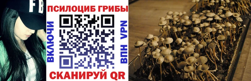 Галлюциногенные грибы Magic Shrooms  площадка телеграм  Дыгулыбгей 